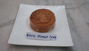Basic Sponge